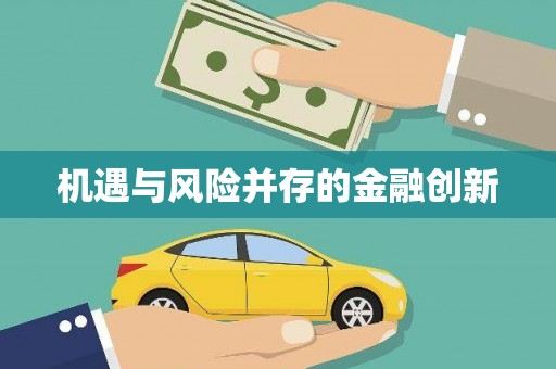 云龙机遇与风险并存的金融创新