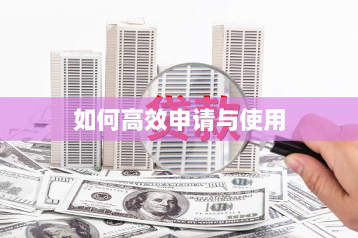 云龙如何高效申请与使用