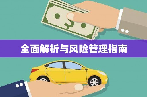 云龙全面解析与风险管理指南