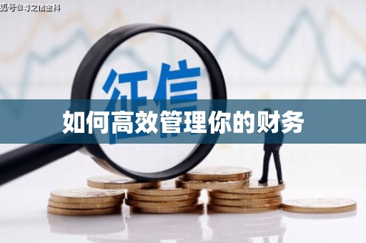 云龙如何高效管理你的财务