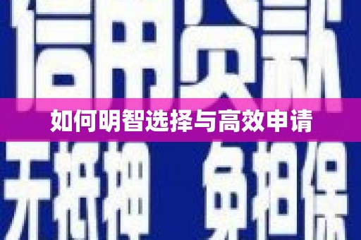 云龙如何明智选择与高效申请