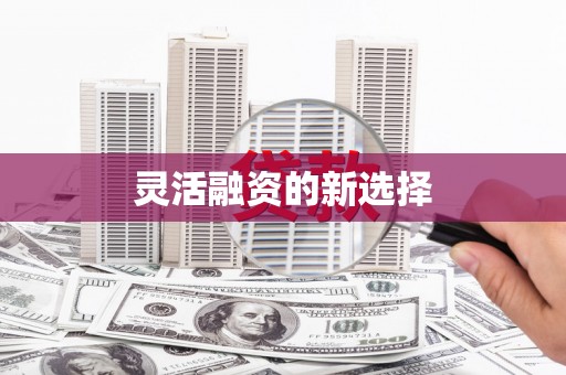 云龙灵活融资的新选择