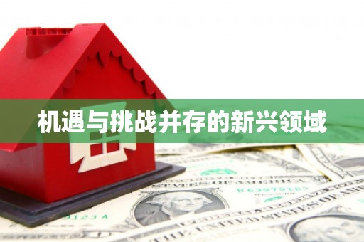 云龙机遇与挑战并存的新兴领域