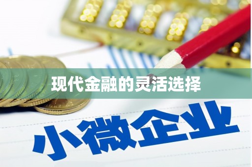 云龙现代金融的灵活选择