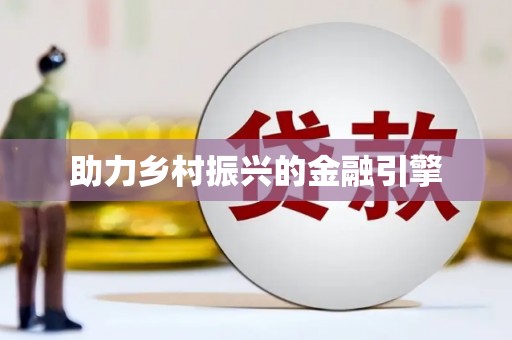 云龙助力乡村振兴的金融引擎