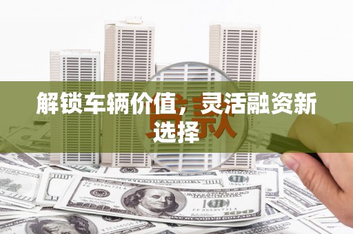云龙解锁车辆价值，灵活融资新选择