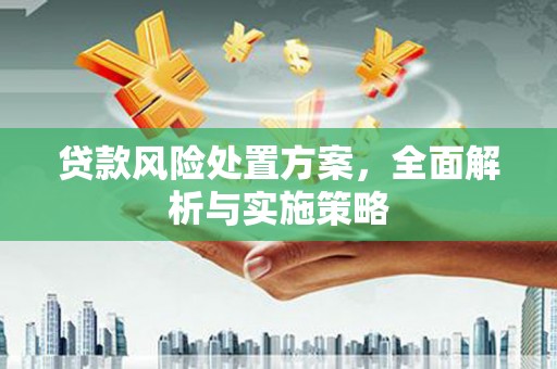 云龙贷款风险处置方案，全面解析与实施策略