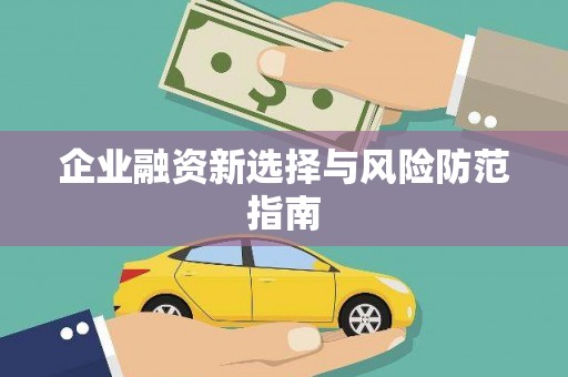 云龙企业融资新选择与风险防范指南