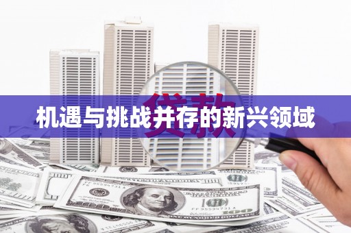云龙机遇与挑战并存的新兴领域