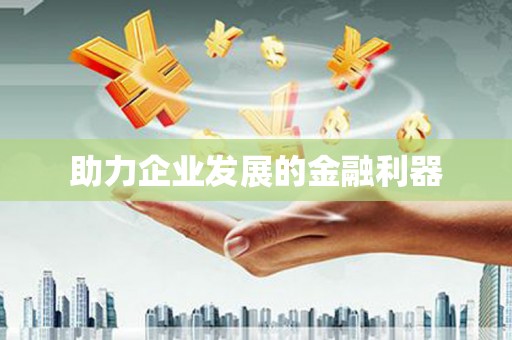云龙助力企业发展的金融利器