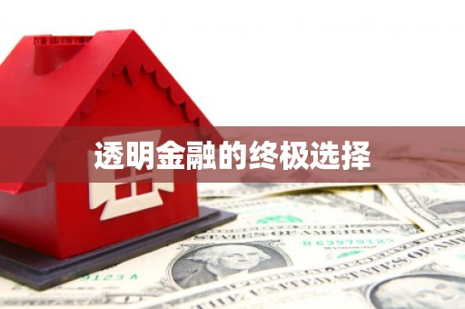 云龙透明金融的终极选择
