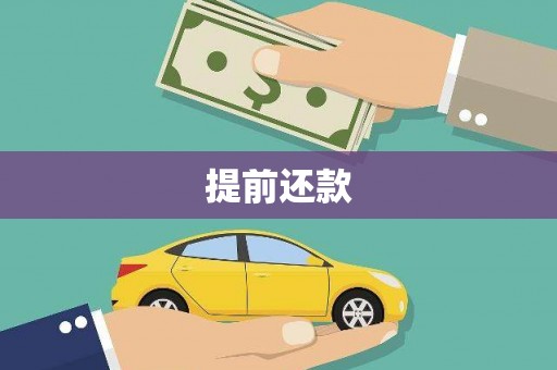 云龙提前还款