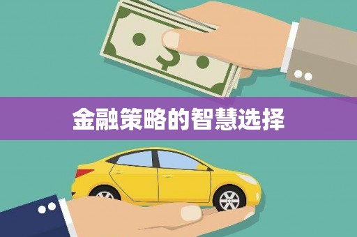 云龙金融策略的智慧选择