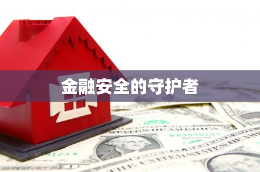 云龙金融安全的守护者