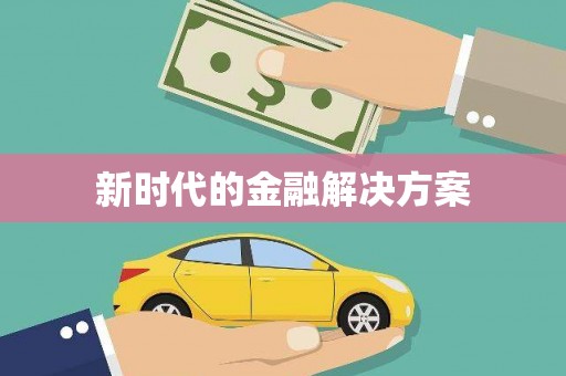 云龙新时代的金融解决方案