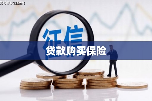 云龙贷款购买保险