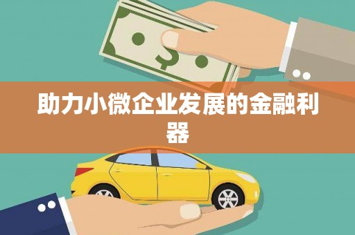 云龙助力小微企业发展的金融利器