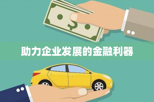 云龙助力企业发展的金融利器