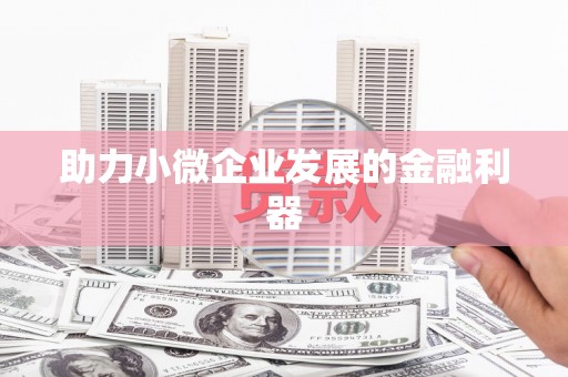 云龙助力小微企业发展的金融利器