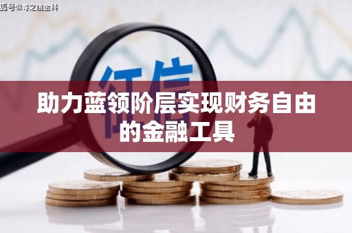 云龙助力蓝领阶层实现财务自由的金融工具