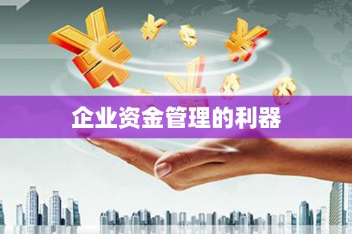 云龙企业资金管理的利器