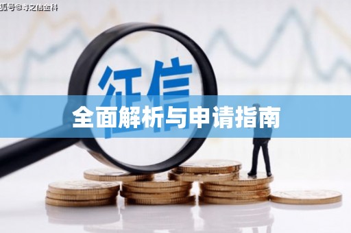 云龙全面解析与申请指南