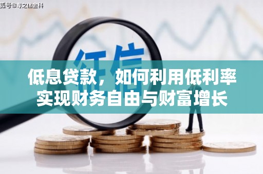 云龙低息贷款，如何利用低利率实现财务自由与财富增长
