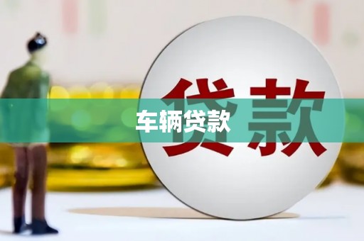 云龙车辆贷款