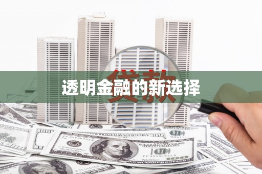 云龙透明金融的新选择