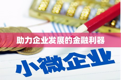 云龙助力企业发展的金融利器