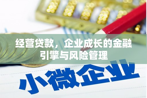 云龙经营贷款，企业成长的金融引擎与风险管理