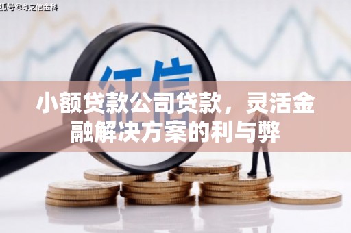 云龙小额贷款公司贷款，灵活金融解决方案的利与弊