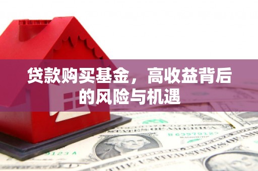 云龙贷款购买基金，高收益背后的风险与机遇