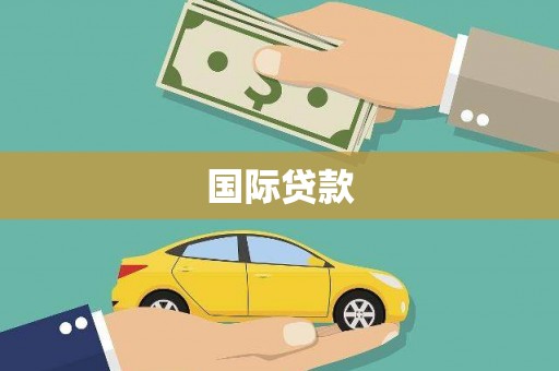 云龙国际贷款